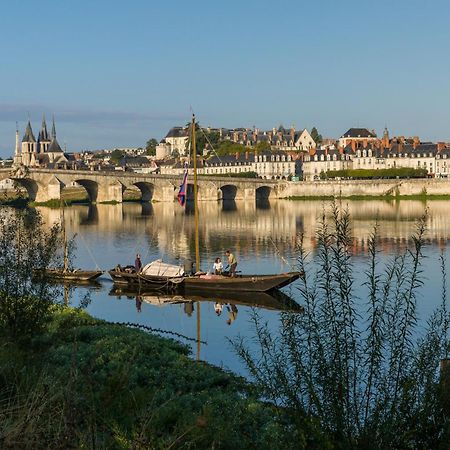 Le Wilson - Vue Imprenable Sur La Loire Et Le Chateau De Blois Bagian luar foto