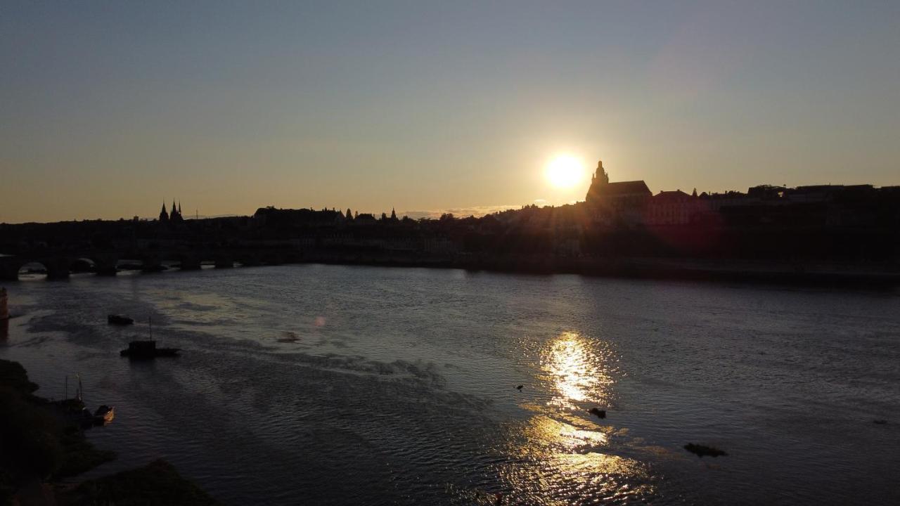 Le Wilson - Vue Imprenable Sur La Loire Et Le Chateau De Blois Bagian luar foto