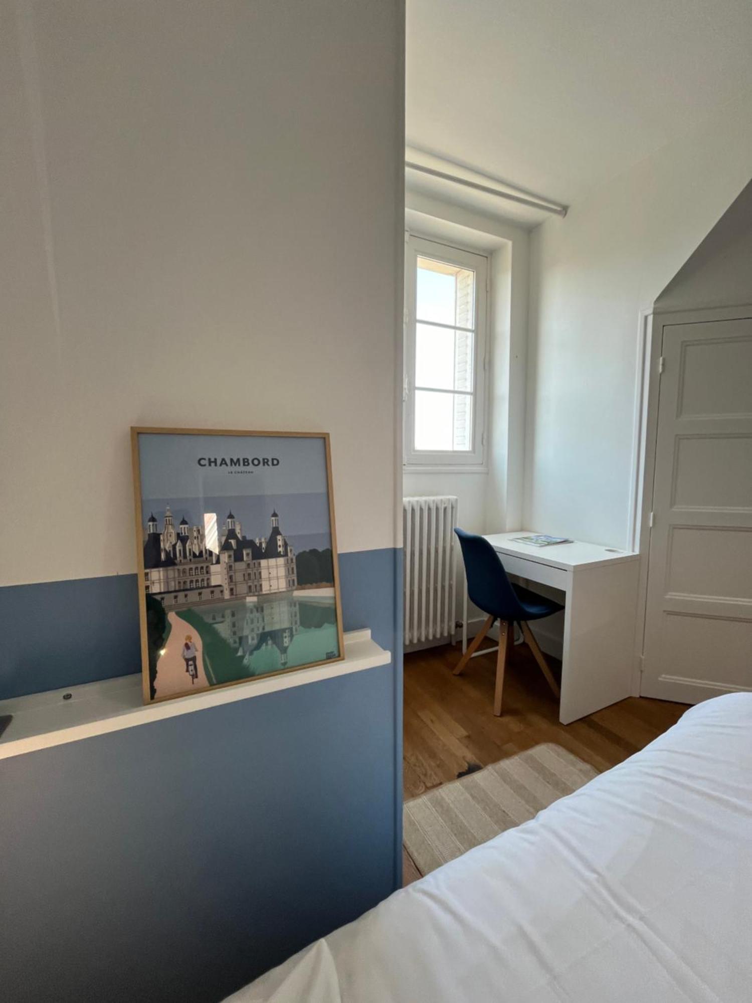 Le Wilson - Vue Imprenable Sur La Loire Et Le Chateau De Blois Bagian luar foto